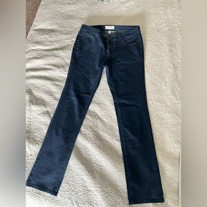 Banana Republic Dark Blue Striaght Jeans